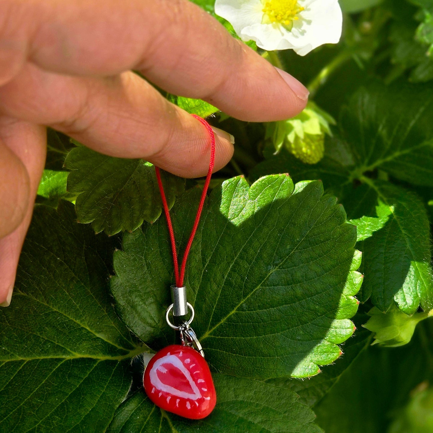 Strawberry Charm